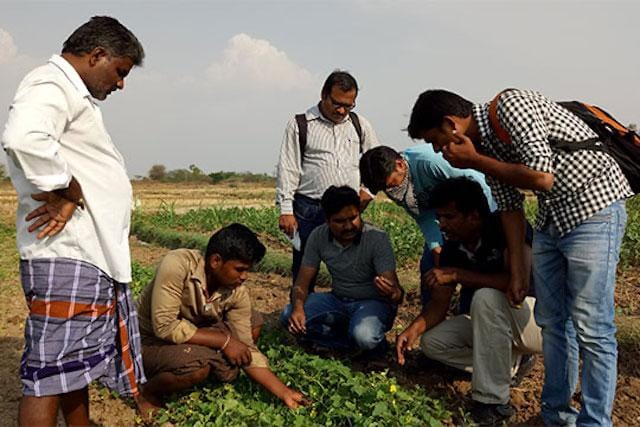 Agriculture